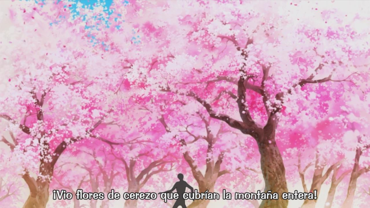 One Piece: Episode of Chopper Plus - Fuyu ni Saku, Kiseki no Sakura (Movie 9) (RedLineSP)